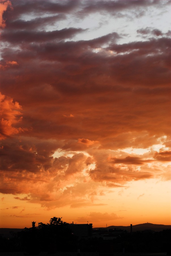 2007_07_16_Sonnenaufgang_050_ps.jpg