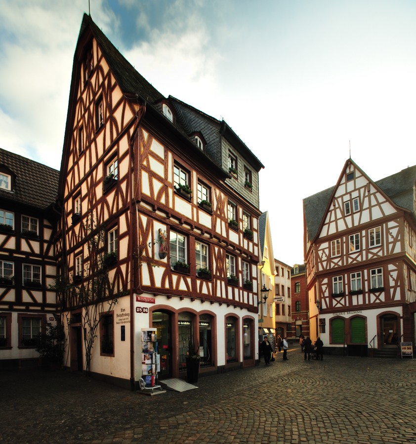 2009_01_29_Schue_Kirschgarten_Leichhof_Dom_D7C_3770.jpg