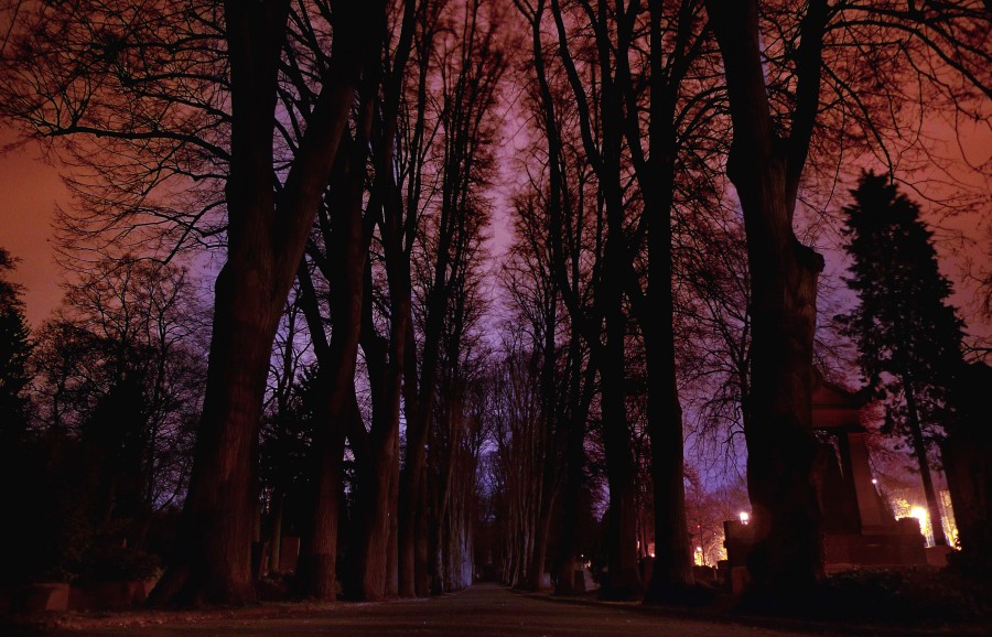 2009_04_01_Friedhof_bei_Nacht_011_cnx2.jpg