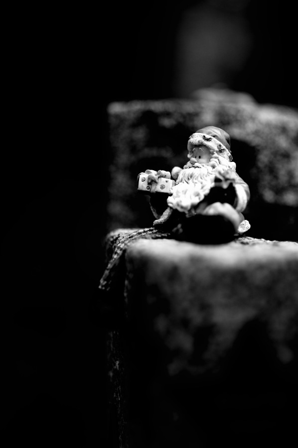 2009_05_27_Hauptfriedhof_D7C_0804.jpg