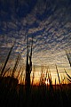 2008_06_17_Sonnenuntergang_und_Road_warrior-Karre_D2C_6987_ps.jpg