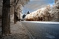 2009_05_11_Schloss_Waldhausen_IR_Jungspatz_DSC_1042_ps.jpg