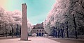 2009_05_11_Schloss_Waldhausen_IR_Jungspatz_DSC_1090_ps_bes.jpg