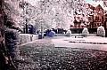 2009_05_11_Schloss_Waldhausen_IR_Jungspatz_DSC_1103_ps.jpg