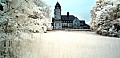 2009_05_11_Schloss_Waldhausen_IR_Jungspatz_DSC_1113.jpg