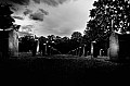 2009_05_27_Hauptfriedhof_D7C_0827.jpg
