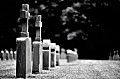 2009_05_27_Hauptfriedhof_D7C_0838.jpg