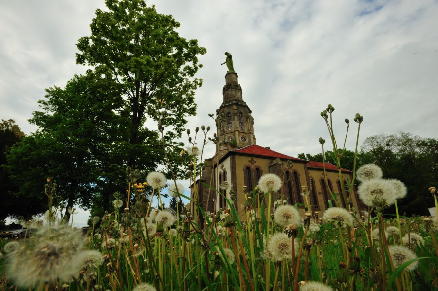 2009_05_01_03_Fronkraisch_D7C_8498.jpg