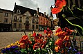 2009_05_01_03_Fronkraisch_D7C_8416.jpg