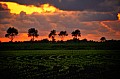 2009_06_11_Weltreise_Nordsee_D7C_1791.jpg