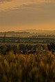 3007_05_18-19_-_Hessenpark_060.jpg
