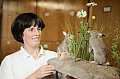 2009_05_13_Praeperation_Naturhistorisches_Museum_MZ_D7C_9353.jpg