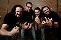 2009_07_14_Purify_Bandfoddos_D7C_4714.jpg