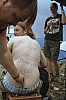 Wacken-Film03-03.jpg