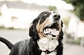 2012_06_17_Dorffest_Haupersweiler_DSC08595.jpg